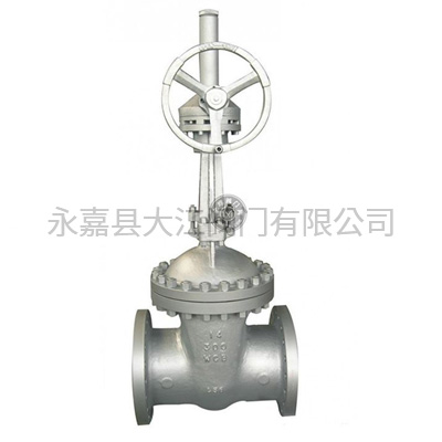 Bevel gear cryogenic gate valve